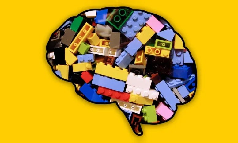 Your Brain Has a Learning Shortcut AI Can’t Copy Cognitive LEGOs